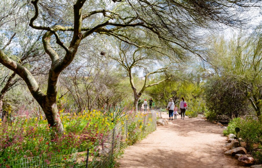 Tohono Chul Park, United States